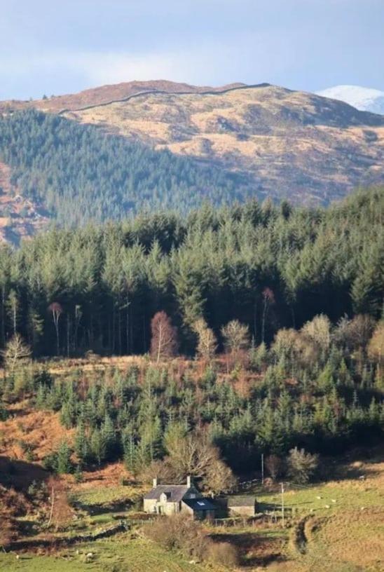 Tyn Y Simdde - Secluded Mountain Stay - Stunning Views Of Eryri Dolgellau Exterior foto