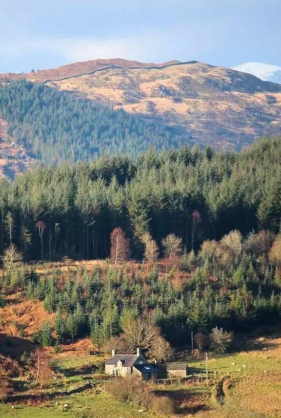 Tyn Y Simdde - Secluded Mountain Stay - Stunning Views Of Eryri Dolgellau Exterior foto