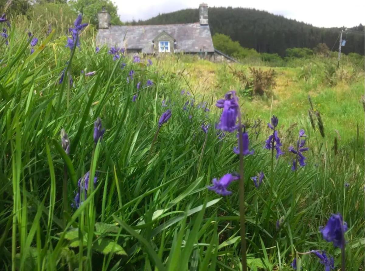 Tyn Y Simdde - Secluded Mountain Stay - Stunning Views Of Eryri Dolgellau Exterior foto